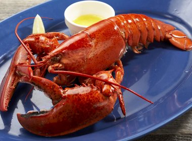 レッドロブスター　上板橋店