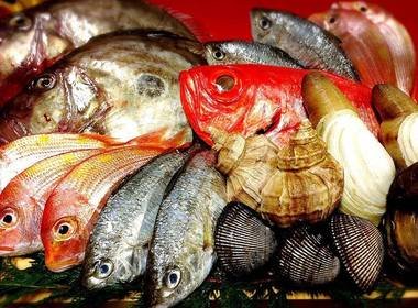 季節料理 まさむね