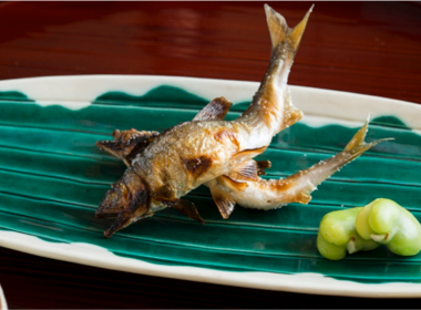 本家たん熊 本店