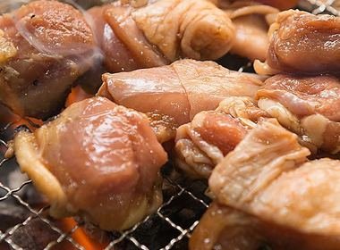 もくもく村の地鳥