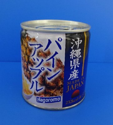 沖縄県産　パインアップル