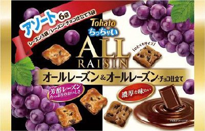 6Pちっちゃいオールアソート　レーズン＆レーズンチョコ仕立て