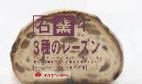 石窯３種のレーズン（４）