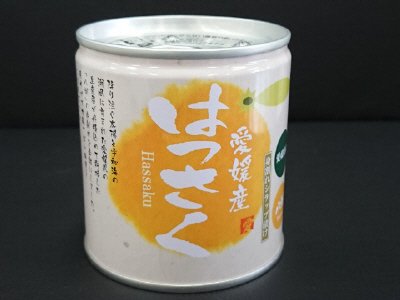 愛媛県産　八朔缶詰5号缶