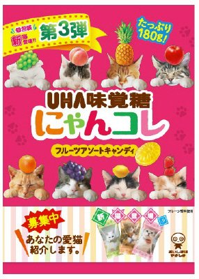にゃんコレ袋