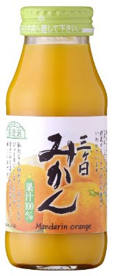 三ヶ日みかん