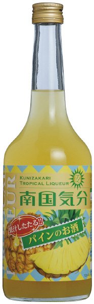 南国気分　パインのお酒