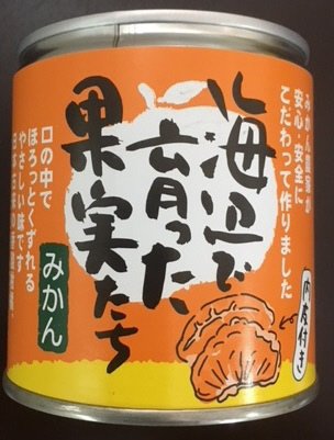 みかんシラップづけ