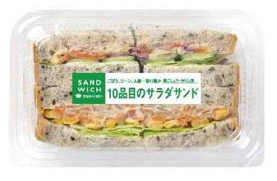１０品目のサラダサンド