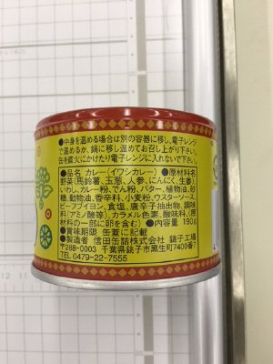 イワシカレー