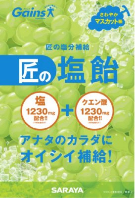 ゲインズ匠の塩飴マスカット味