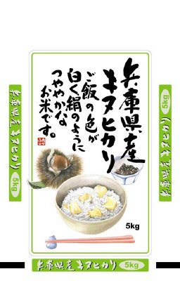 兵庫県産　キヌヒカリ
