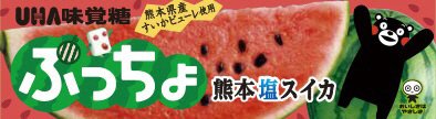 ぷっちょスティック　熊本塩スイカ