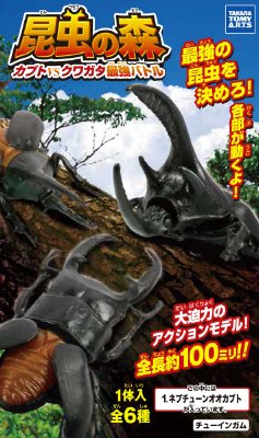 昆虫の森　カブトＶＳクワガタ