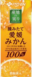 産地の実り摘みたて愛媛みかん