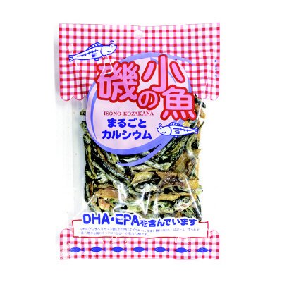 磯の小魚
