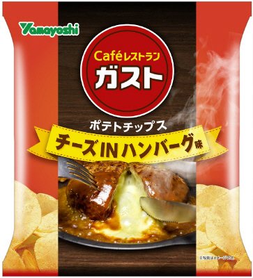 ポテトチップス　ガストチーズＩＮハンバーグ味