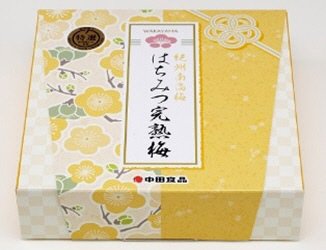 紀州南高梅 はちみつ完熟梅