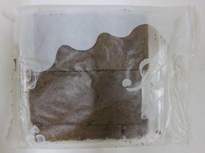 割れチョコブラウニー
