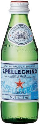 炭酸入りﾅﾁｭﾗﾙﾐﾈﾗﾙｳｫｰﾀｰ ｻﾝﾍﾟﾚｸﾞﾘﾉ 250ml