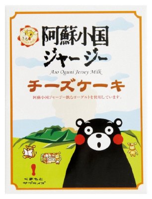 阿蘇小国ジャージーチーズケーキ