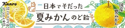 日本でそだった夏みかんのど飴
