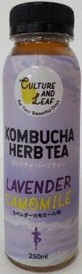 コンブチャ　ハーブティー　ラベンダーカモミール味