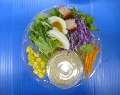 北海道発祥ラーメンサラダ