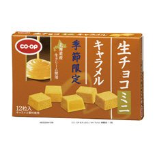 生チョコミニ（キャラメル）季節限定
