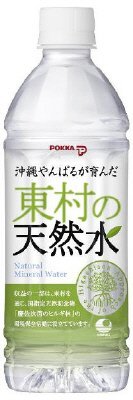 東村の天然水　沖縄