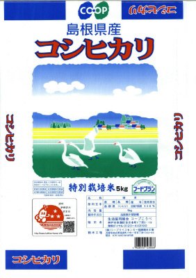 特別栽培米　島根県産コシヒカリ