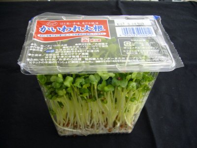 かいわれ大根