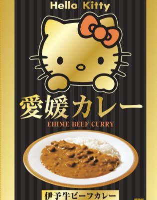 愛媛カレー