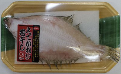 えてかれい若干