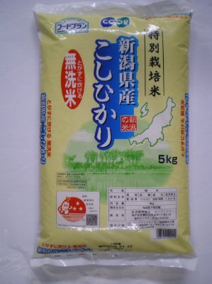 特別栽培米　新潟県産こしひかり　とがずに炊ける無洗米