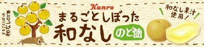 まるごとしぼった和なしのど飴