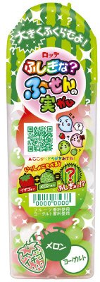 ふしぎな？ふ～せんの実