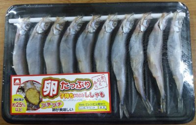 子持ちからふとししゃも
