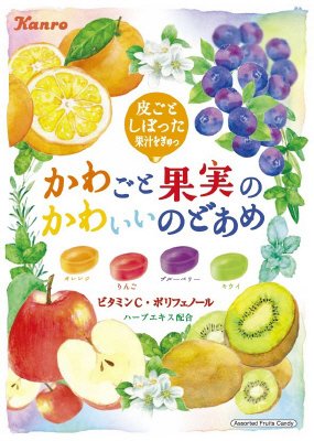 かわごと果実のかわいいのどあめ