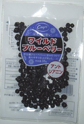 ワイルドブルーベリー