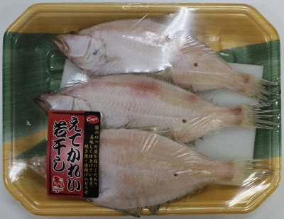 えてかれい若干