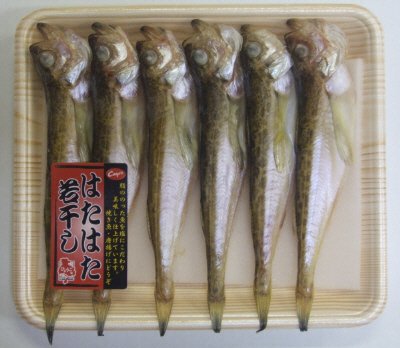はたはた若干し