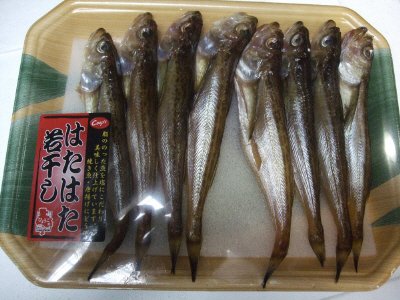 はたはた若干