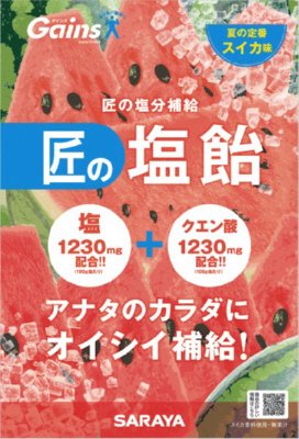 ゲインズ匠の塩飴スイカ味