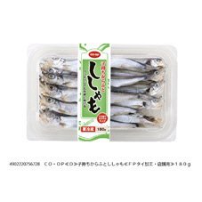 子持ちからふとししゃも