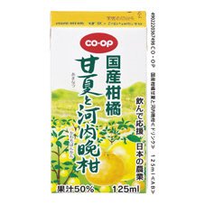 国産柑橘甘夏と河内晩柑≪ドリンク≫