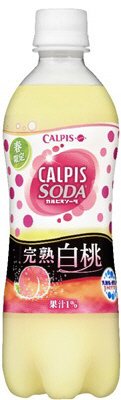 カルピスソーダ完熟白桃　ケース