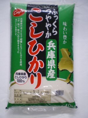 兵庫県産こしひかり