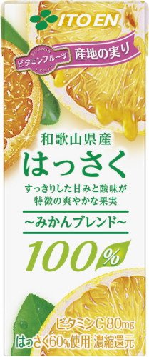 ビタミンフルーツ和歌山県産はっさく