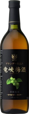 竜峡梅酒